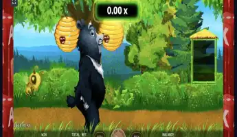 Bear Run