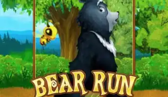 Bear Run