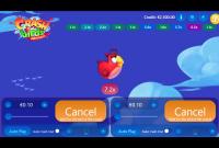 Увлекательный азарт с птицами