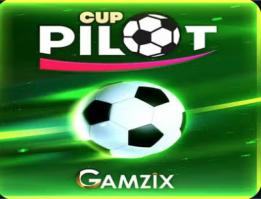  Cup Pilot 