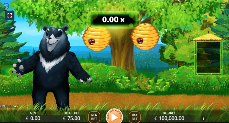 Play for free or for money in Bear Run game